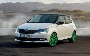 Skoda Fabia Limited Edition 2018 года (WW)